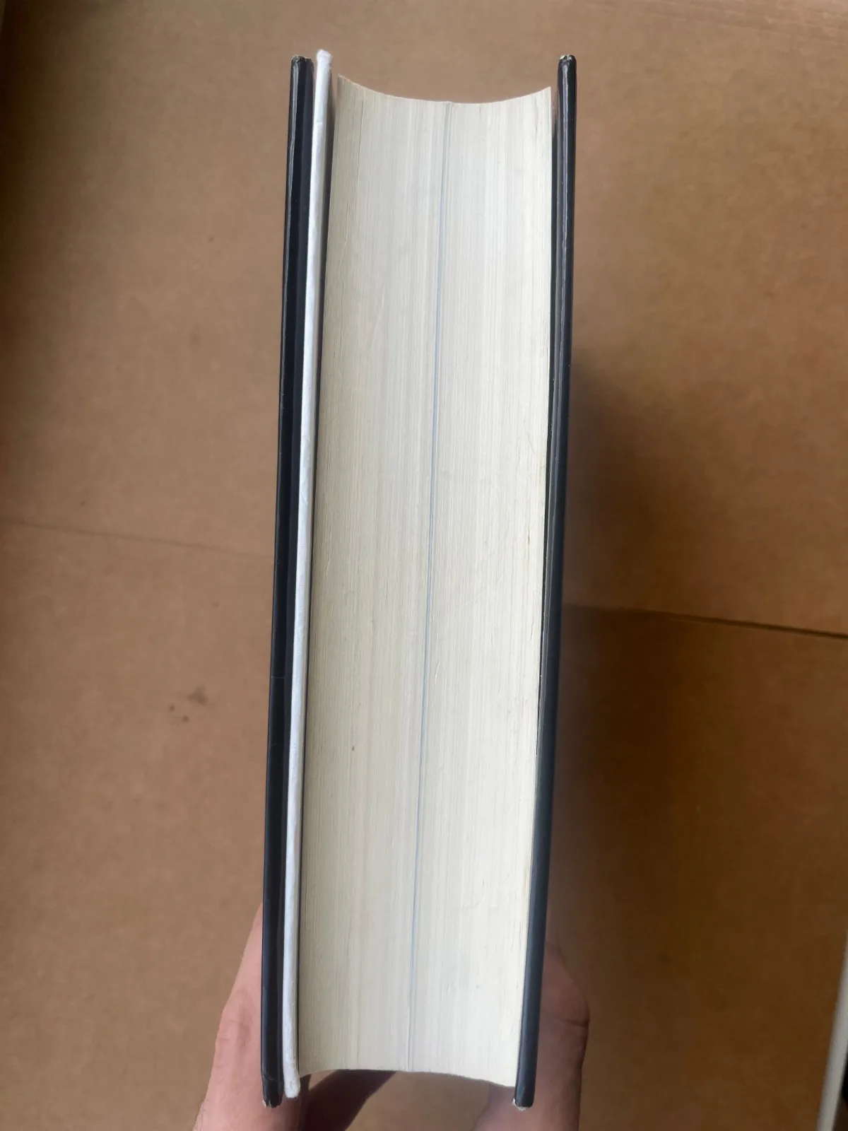 Manstein: Verlorene Siege - Erich von Manstein (1991) — Boeken & Tijdschriften — WO2 (foto 7 van 7)