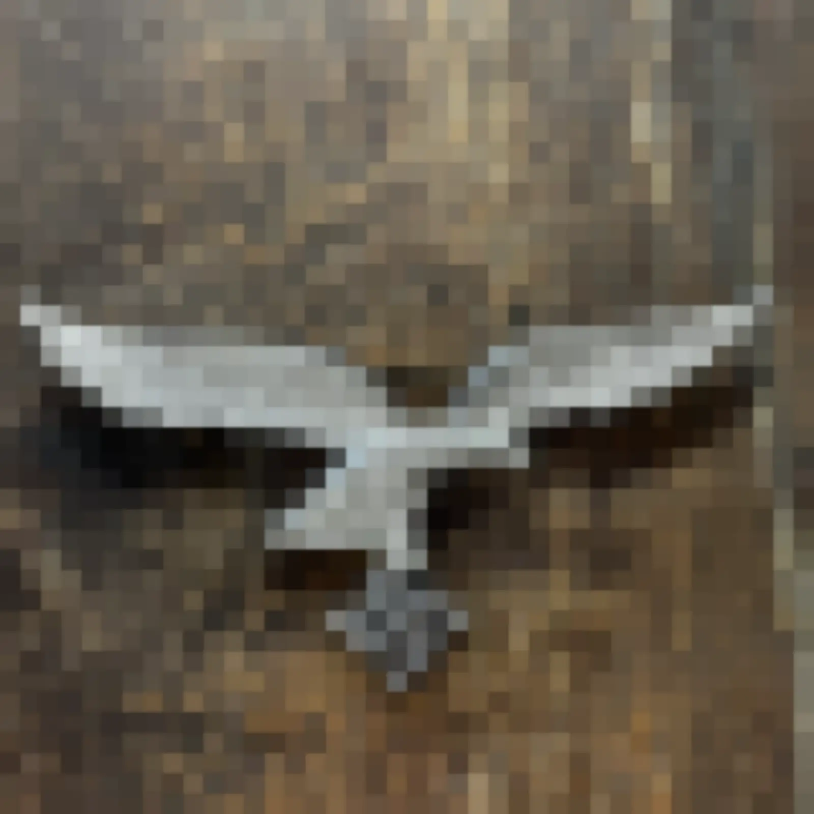 Luftwaffe zomer borstadelaar — WO2