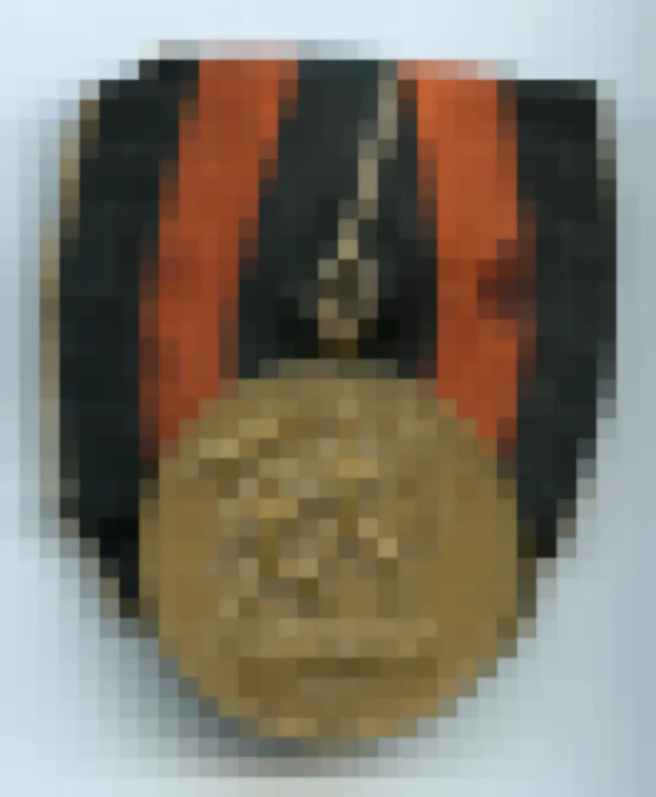 Anschluss Sudetenland spange — WO2