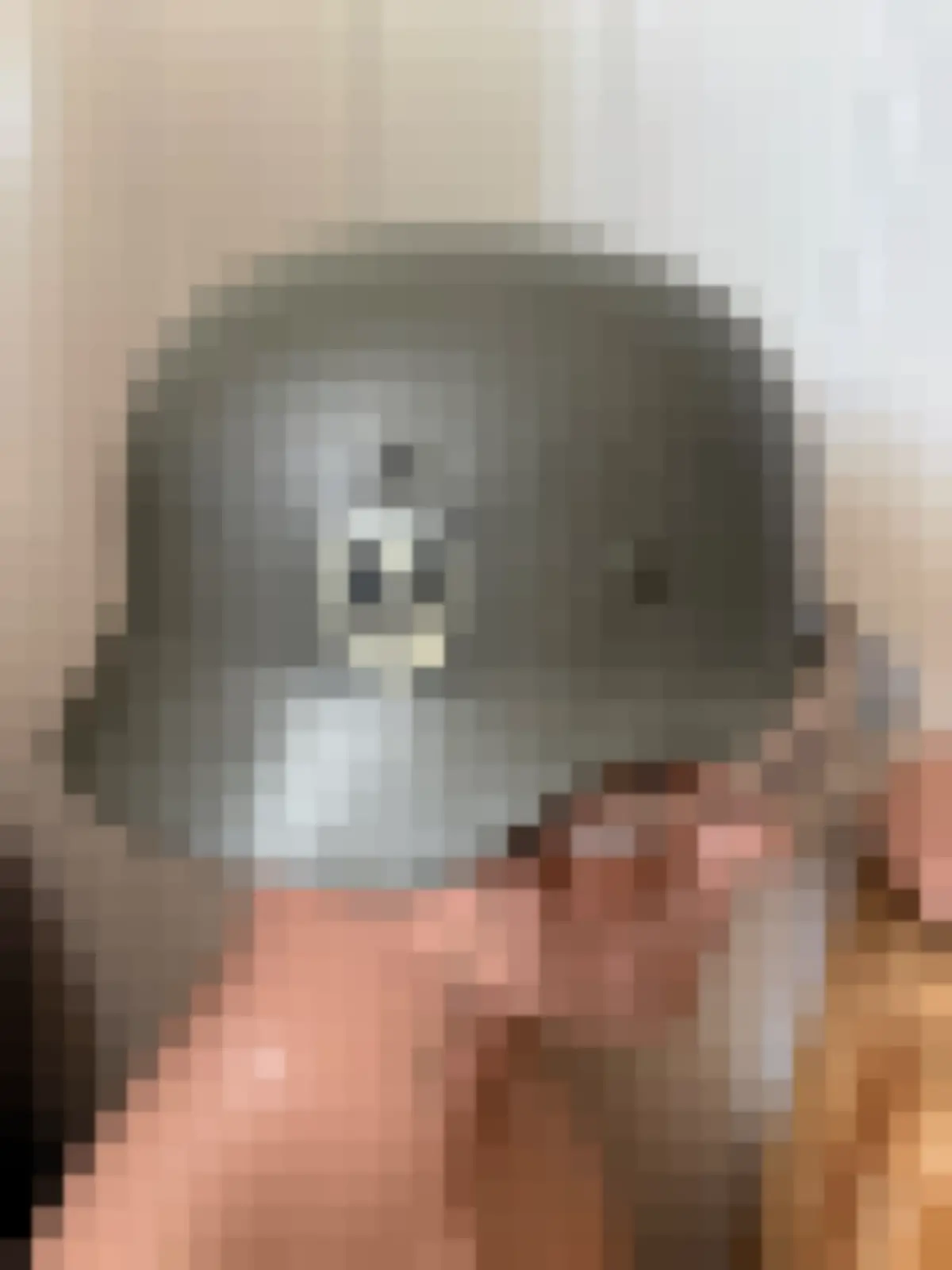 M40 SS helm — WO2