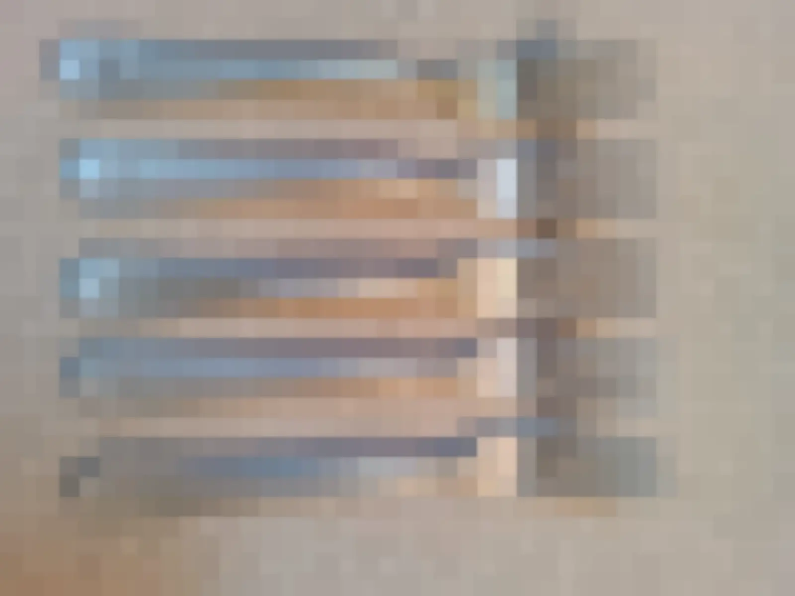 5 vorken — WO2
