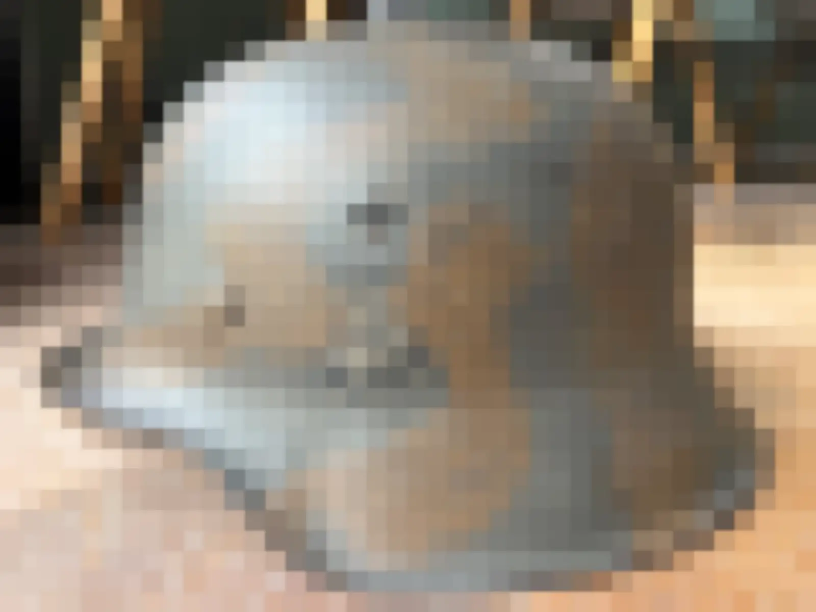 Duitse M42 DD polizei camo — WO2