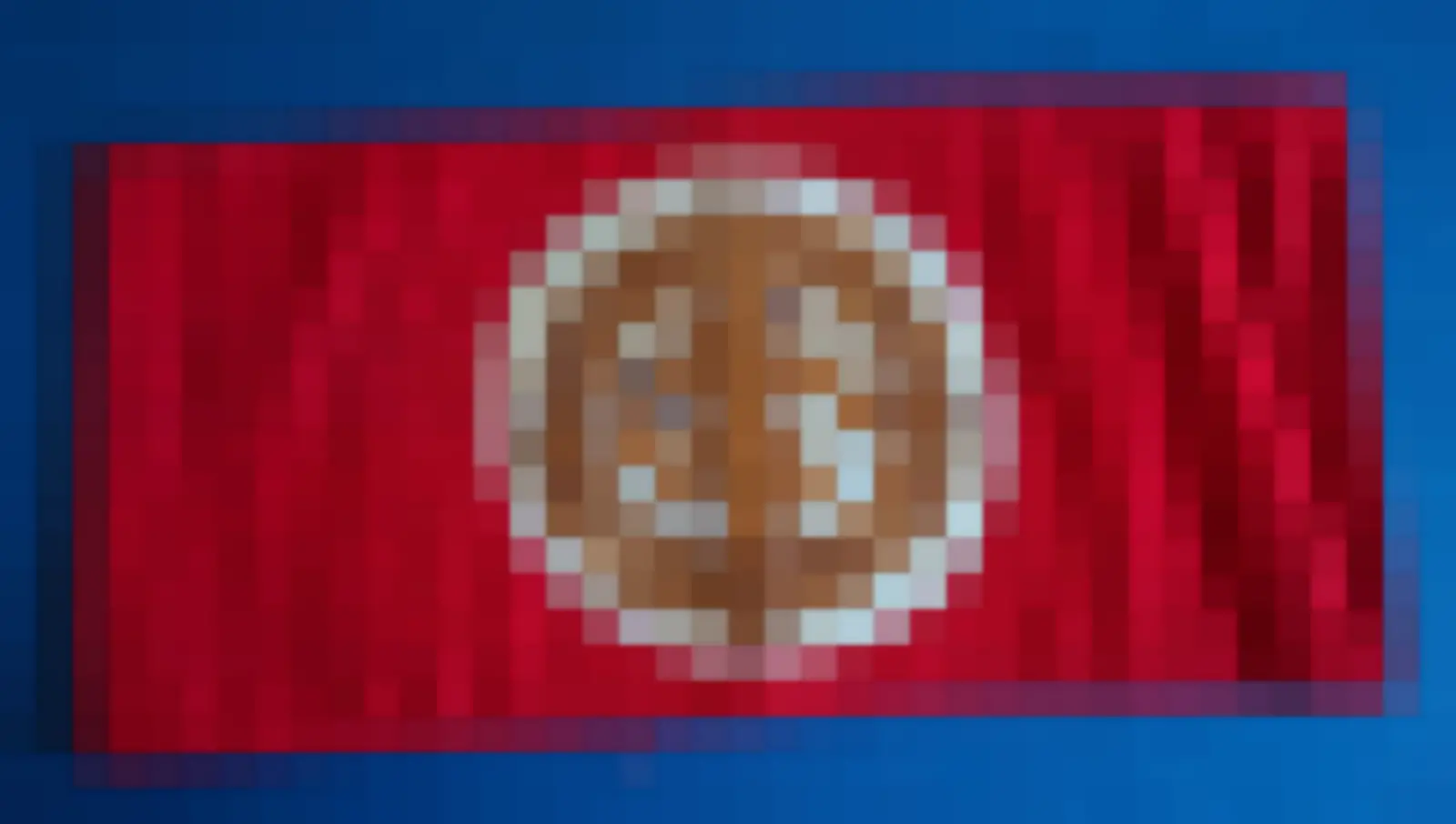 S.A. Wehrmannschaft armband — WO2